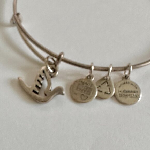 Alex and Ani bracelet Charm Bangle  Bundle of 6 - Picture 11 of 12